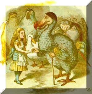 The Caucus Race